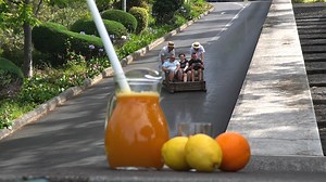 2.6K views · 40 reactions | At the Poncha Bar in Monte Palace Madeira...