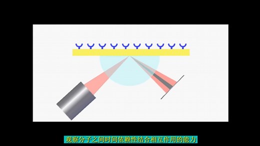 如何解释表面等离子体（Surface Plasmon Resonance）SPR