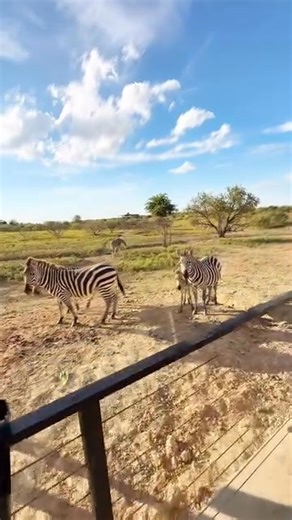 **Drawing is November 1st** The McGregor Volunteer Fire Department is giving YOU the chance to win a “Once in a Lifetime Experience” at Blue Hills Ranch in McGregor, TX – a prize valued at $24,332! 🦒🌿✨ 🏡 What’s Included: ✅ A 2-night stay for up to 8 people in the stunning Giraffe Safari Villa – a luxurious all-glass, 4-bedroom home surrounded by wildlife. ✅ The All-Inclusive Gold Package at Blue Hills Ranch – everything you need for the ultimate adventure. ✅ Incredible memories with friends o