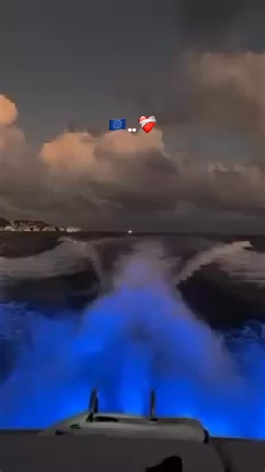 〽️ on Instagram: "Follow me - - #Viral"