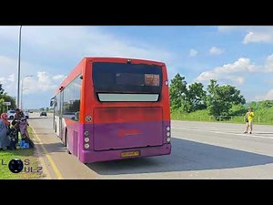 SMRT Bus Services 405 [SBS8987B] & 975 [SMB80D] along Lim Chu Kang Road
