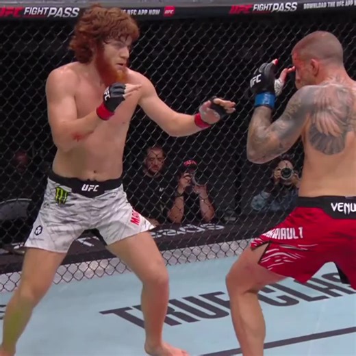 Lion Heart: MMA Comeback Highlights