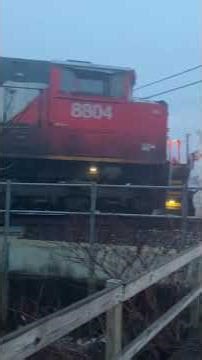 Butler, PA: Canadian National Ore Train