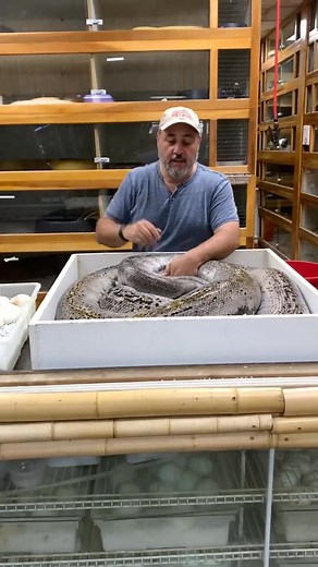 python_dreams_life_doesn’t_always_give_your_#dream_on_your | Dale Bryan | Facebook