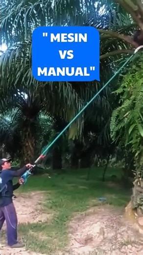 👉"Egrek Mesin VS Egrek Manual mana favorit kalian?