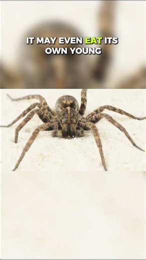 Top Ten Predators That Can Survive Without Food for Extended Periods: Survival at Any Cost