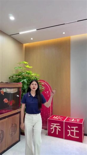 优势65w快充方案来啦！芯朋微的PN8783以及PN8307P黄金套片组合，带来不一样的效果！#半导体电源芯片 #电源驱动芯片 #电源芯片方案 #芯朋微 #骊微电子