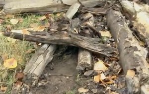 Traps, snares and pets can be a bad combination. Here's how to avoid a problem - East Idaho News