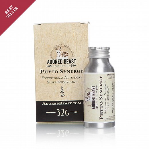 Phyto Synergy | Super Antioxidant