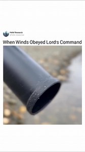 Visit Page For More Miracles Of the Quran Torah mentions this detail that God used wind to split the sea, and in tafseer of Quranic verses many mufasreen mentioned the reference of Torah. First clip by : black_diplomato | Halal Research