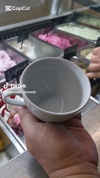 Jégmadár (@jegmadar_dusnok) videója, benne: Espresso by Sabrina Carpenter - user35873381357