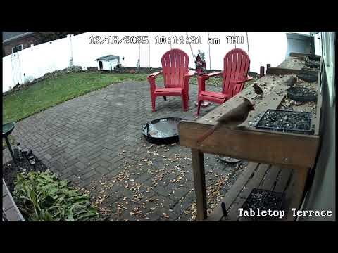 226 - SUNRISE SHENANIGANS