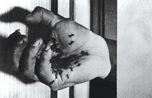 Regardez gratis Films & séries télé espagnols en ligne / Sous-titres