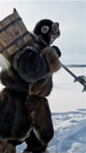 The taiga doesn't care about your pain. It just keeps snowing.