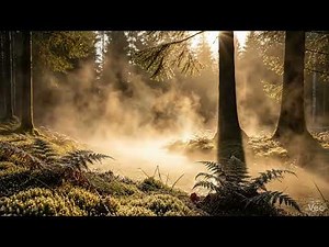 Serene Night Classical Music for Deep Relaxation & Sleep