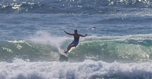 @josie_prendergast on the 6’11” x 21” x 2 3/4” Elveen. “When I was starting out, I was so scared of 2-3ft waves that were not longboard waves. Taj really pushed me to ride smaller boards and pushed me to ride bigger waves. It’s so exciting, I feel like longboarding makes me calm, where as riding mid-lenghts and smaller boards is a whole other level of excitement now that I can feel somewhat comfortable and confident in bigger waves” - Josie Prendergast Edit by @grigs_ | McTavish Surfboards