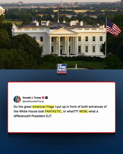 684K views · 10K reactions | OLD GLORY: Donald J. Trump celebrates the massive American flags his administration installed at the White House, as the president welcomes Zelenskyy and key European leaders to Washington, D.C. | Fox News | Facebook
