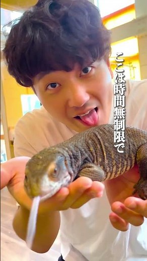 時間無制限の動物カフェ〜アニマルカフェ〜