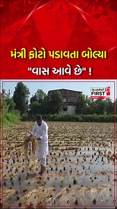 15K views · 215 reactions | Cradit Source - Gujarat First News | જનતા નો અવાજ | Facebook