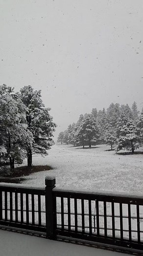 3.8K views · 91 reactions | Perfect weather to enjoy the holidays in Flagstaff! Just a few cabins open for Thanksgiving. We have just reduced our minimum stay for the Thanksgiving Weekend to just 2 nights. Give us a call at 928-774-8959. | Arizona Mountain Inn & Cabins | Facebook