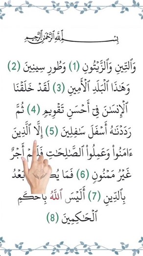 Let's Listen and Learn Surah At-Teen with Finger Tracking ☝🏻#surahattin #quran #quranrecitation