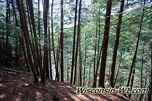 Witches Gulch Trail - Dells of the Wisconsin River - North Parking Lot