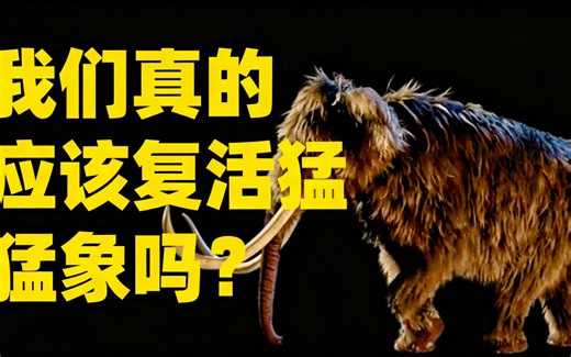 [中配]我们真的应该复活猛犸象吗？ - Wild World