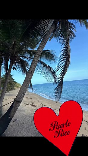 Cecily Tynan on Reels