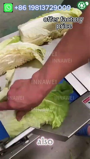 Greens and Long Stem Vegetable Processing Machine for Segment Cutting and Chopping