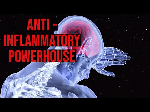 Most Effective Boswellia Supplements In The World