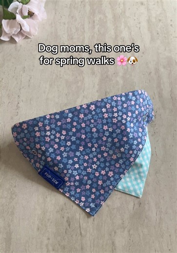 Spring Dog Outfits for Stylish Walks