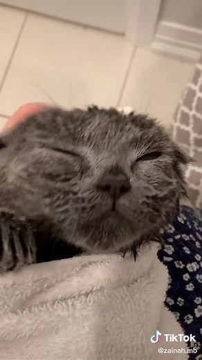 Sister Minnie Bath Time Fun 🛁🐱