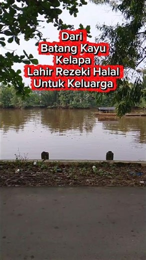 Usaha menjual batang kelapa