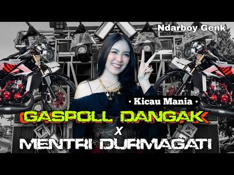 YANG LAGI VIRAL!! DJ GASPOLL NDANGAK (KICAU MANIA) X DURMAGATI VIRAL TIKTOK YANG KALIAN CARI