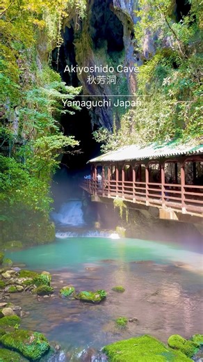 📍【山口】秋芳洞日本最大級の鍾乳洞。長い年月が生んだ幻想的な地底空間が広がる大自然の神秘。#観光 #旅行 #旅 #秋芳洞 #山口#japan #japanlife #yamaguchi