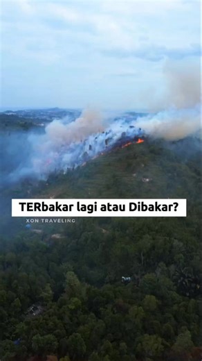 Kebakaran Hutan Mata Kucing Batam 8/2/26