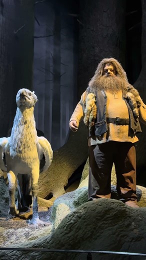 Harry Potter Studio🪄🧙