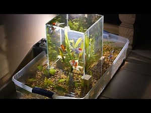 Building a suspended multi level aquarium INCREDIBLE