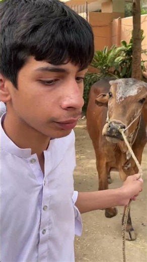Innocent Eyes, Pure Devotion: Al-Wasiya Orphans Caring and Serving Their Eid Qurbani.