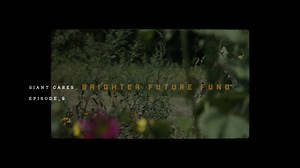 17 reactions · 10 comments | Have you heard of the Brighter Future Fund? Watch to learn how this agricultural grant is supporting farmers and ranchers. | Giant Food | Facebook
