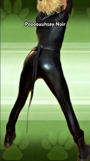 Miraculous Ladybug Cat Noir Halloween Costume