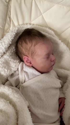 Realistic Breathing Baby Dolls for Doll Collectors