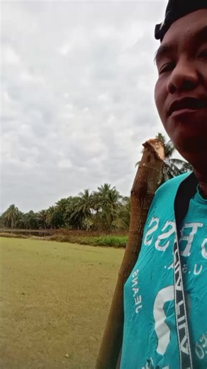 Exploring Traditional Rice Farming Techniques