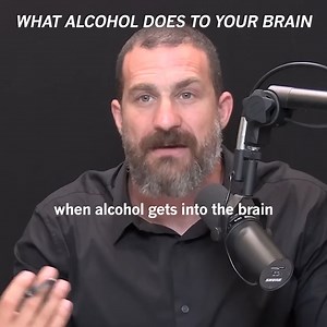 299K views · 4.3K reactions | What Alcohol Does To Your Brain | Andrew Huberman | Facebook