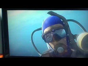 Finding nemo (2003) Nemo gets kidnapped at divers scene