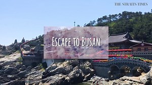 27K views · 279 reactions | Busan is buzzing with culture, markets...