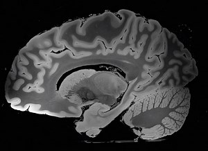 29K views · 519 reactions | Este vídeo muestra una exploración de...