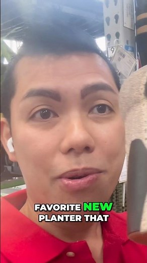 Level Up Your Spring Cleaning 2026 with a New Stylish planter from Lowe’s