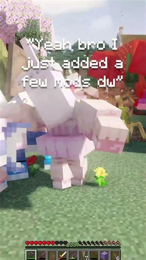 Bro added some mods...