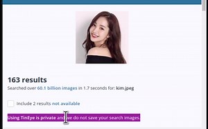 OSINT 开源情报实用工具介绍 Part 2 Tineye 图片反向搜索引擎